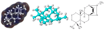 molekul